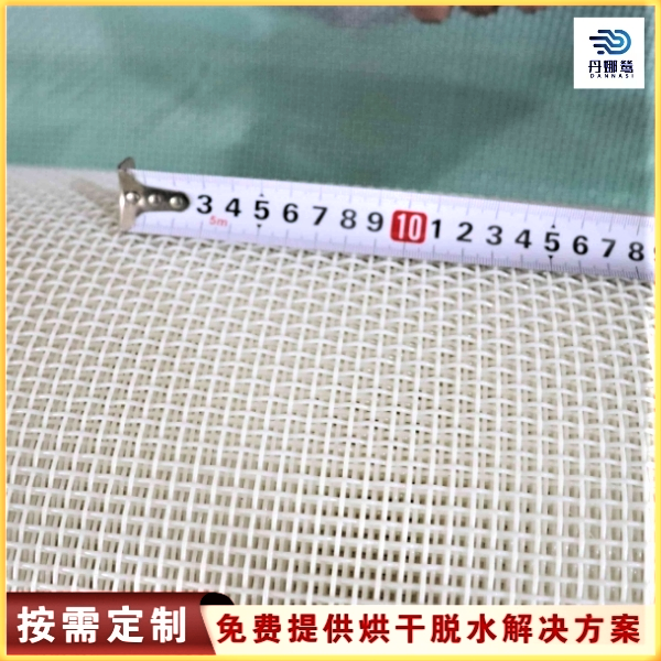 造紙廠聚酯干網
